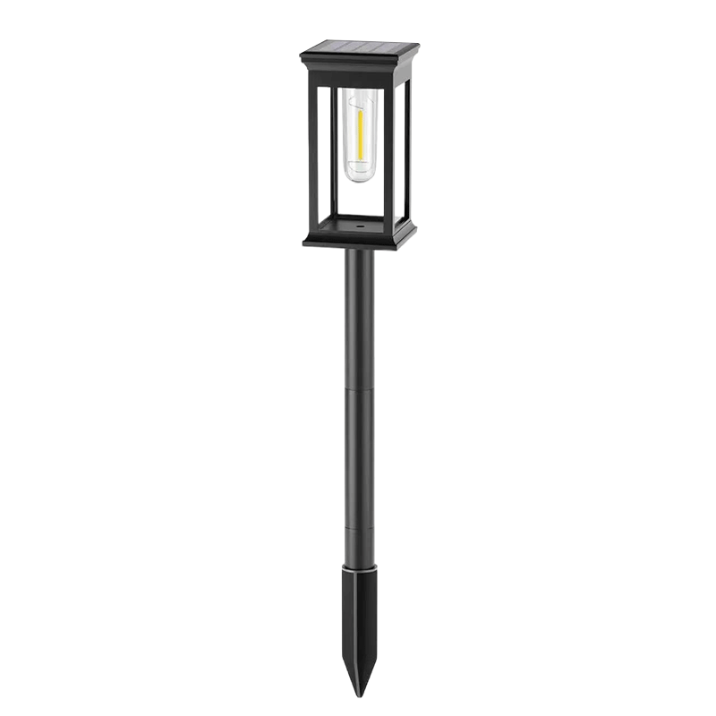 Graddi™ EverGlow