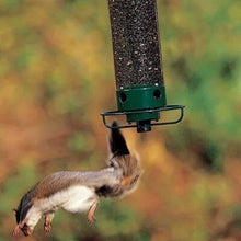 Load image into Gallery viewer, 2024 Summer New Arrival š„100% Squirrel Resistant Bird Feeder