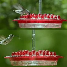 Load image into Gallery viewer, Sherem Sweety Hummingbird Feeder
