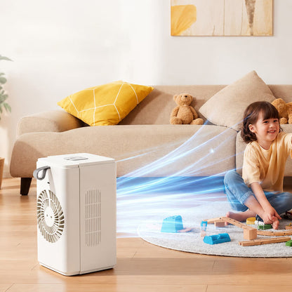 3-in-1 Desktop Air Cooler