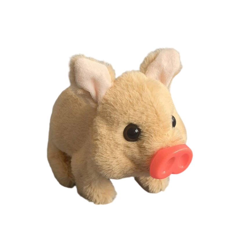 Graddi™ PiggyPal