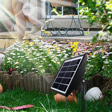 Load image into Gallery viewer, Solar Automatic Plant Self Watering Devices- Solar Drip Irrigation System
