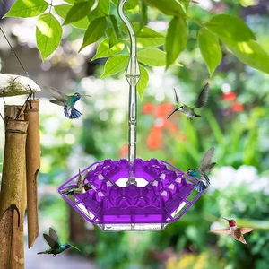 Sherem Sweety Hummingbird Feeder