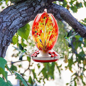 Hummingbird Feeder Hand Blown Glass