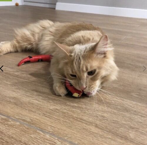 Joyhnny Smart Snake Toy